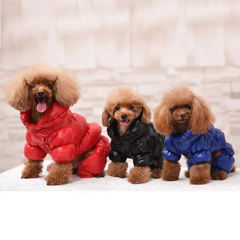 Wholesale High-end luxury brand winter dog clothing waterproof dog down jacket pet clothes