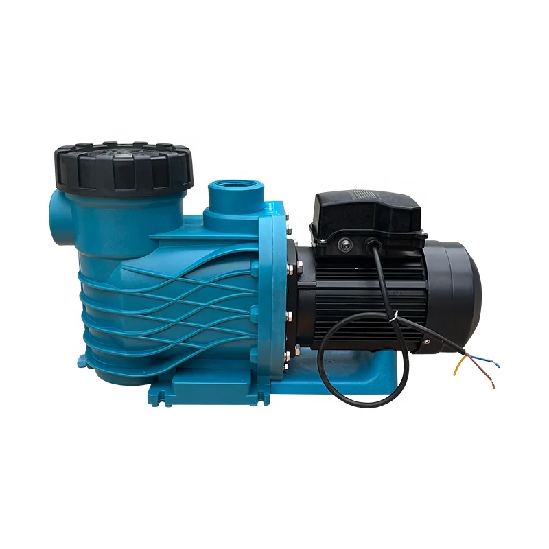 Pool pump Agg low-power circulating pump with hair collector agg AKP100  filter pump Pool water processor