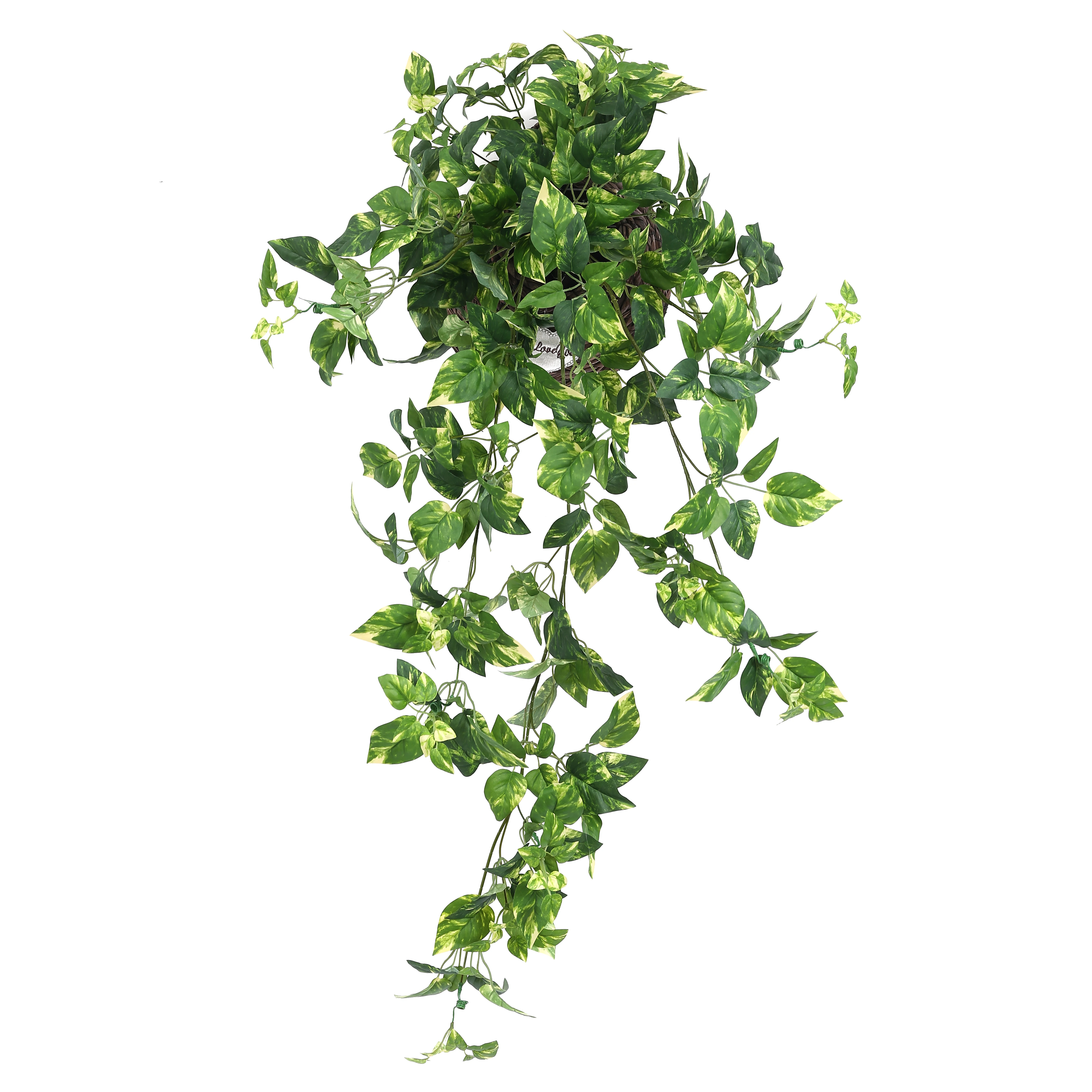 Faux Green Decorative Leaves Party Garland Plastic Coated Dieffenbachia Vines Artificial Leaf Wall Hanging Plants Vine