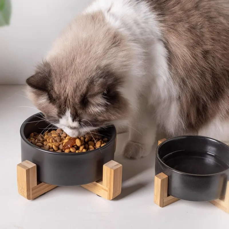 Fast Shipping Wholesale Manufacturer Black Ceramic Pet Food Water Feeder Blanks Elevated Pet Dog Cat Bowl