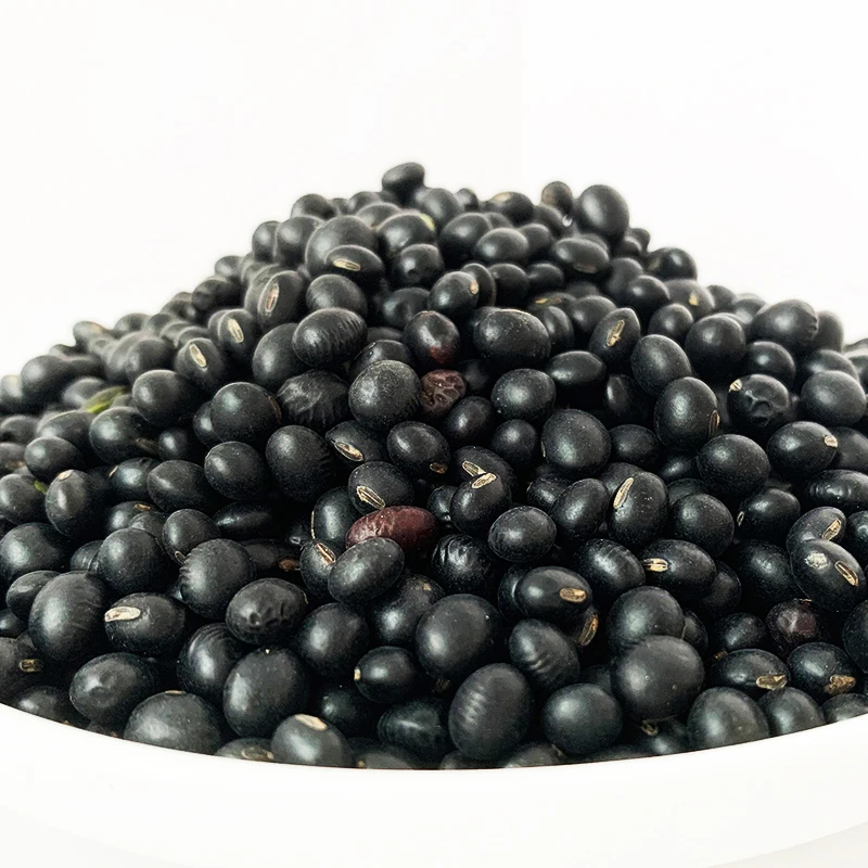 Hot sale HALAL  Chinese factory Manufacturer Black beans