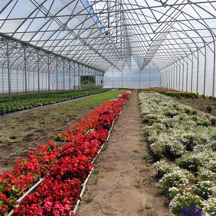 Low Cost Hydroponic Growing Systems Greenhouse Agriculture