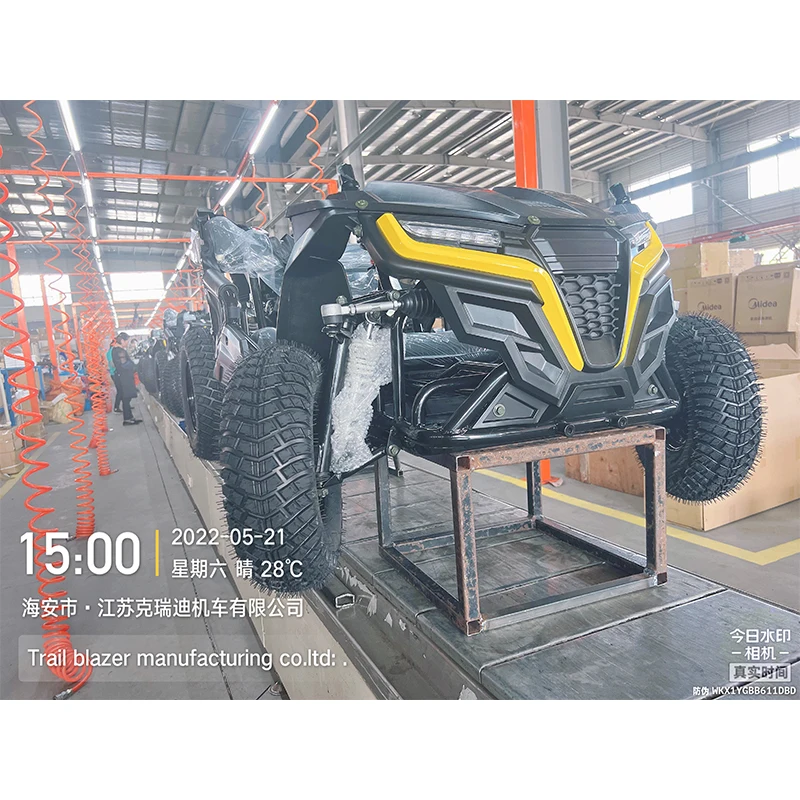 Gasoline Go Kart 196CC  powered brushless motor  gokarts/gocart