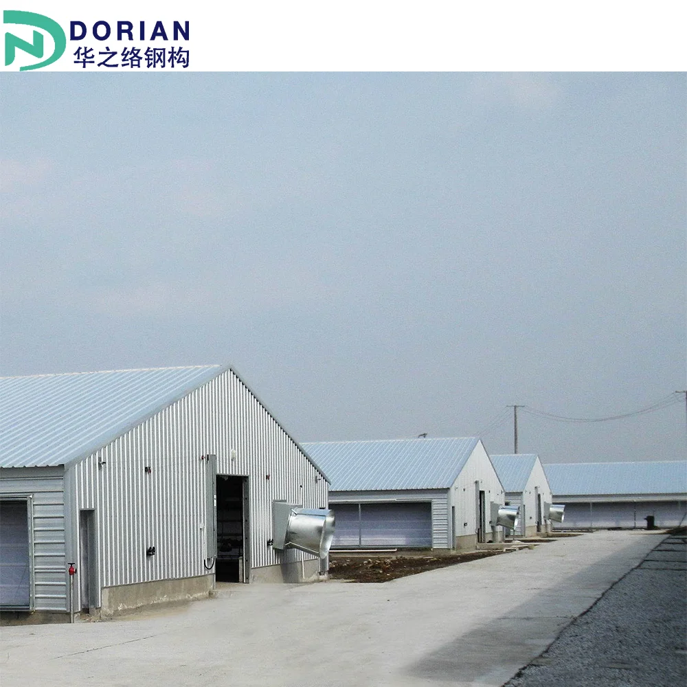 Low Cost chicken house floor poultry farm Designs Prefabricated Steel Structure chicken farm building kit sets nz