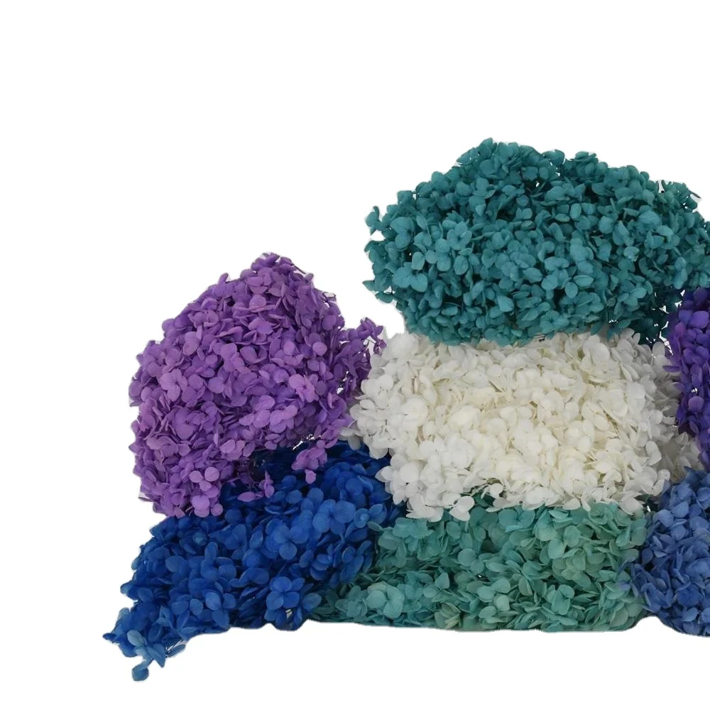 
Yunnan Wholesale High Quality Colorful Dried Preserved Flower Preserved Hydrangea 