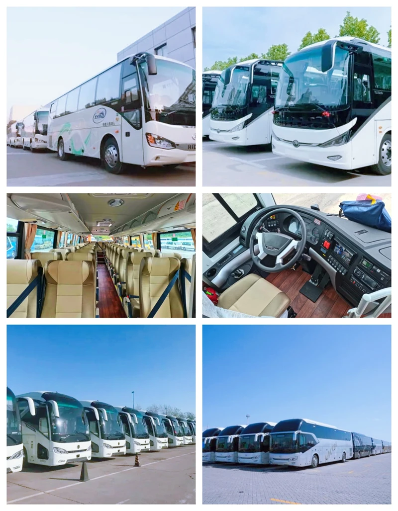 YTT02 (1)