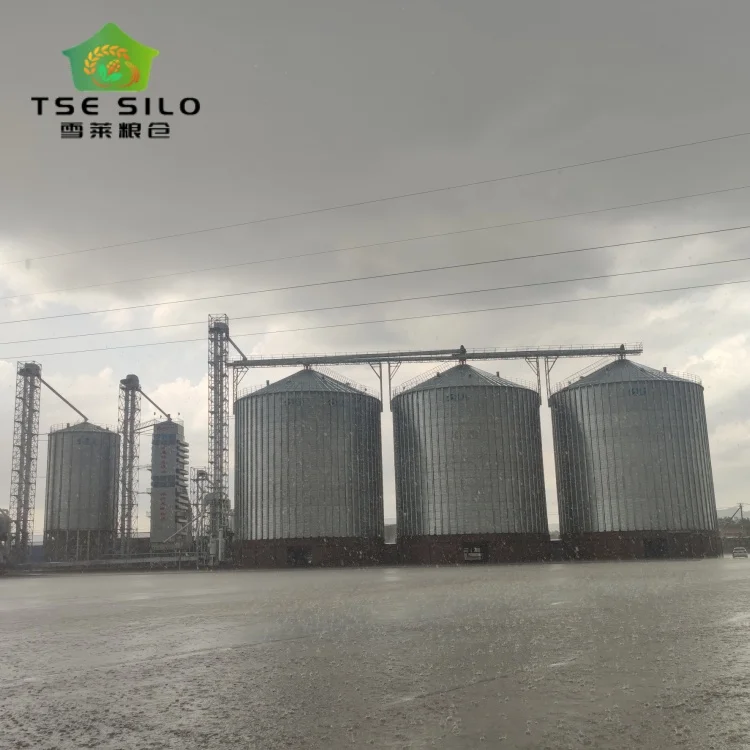 Soybean peanut corrugated steel grain silo