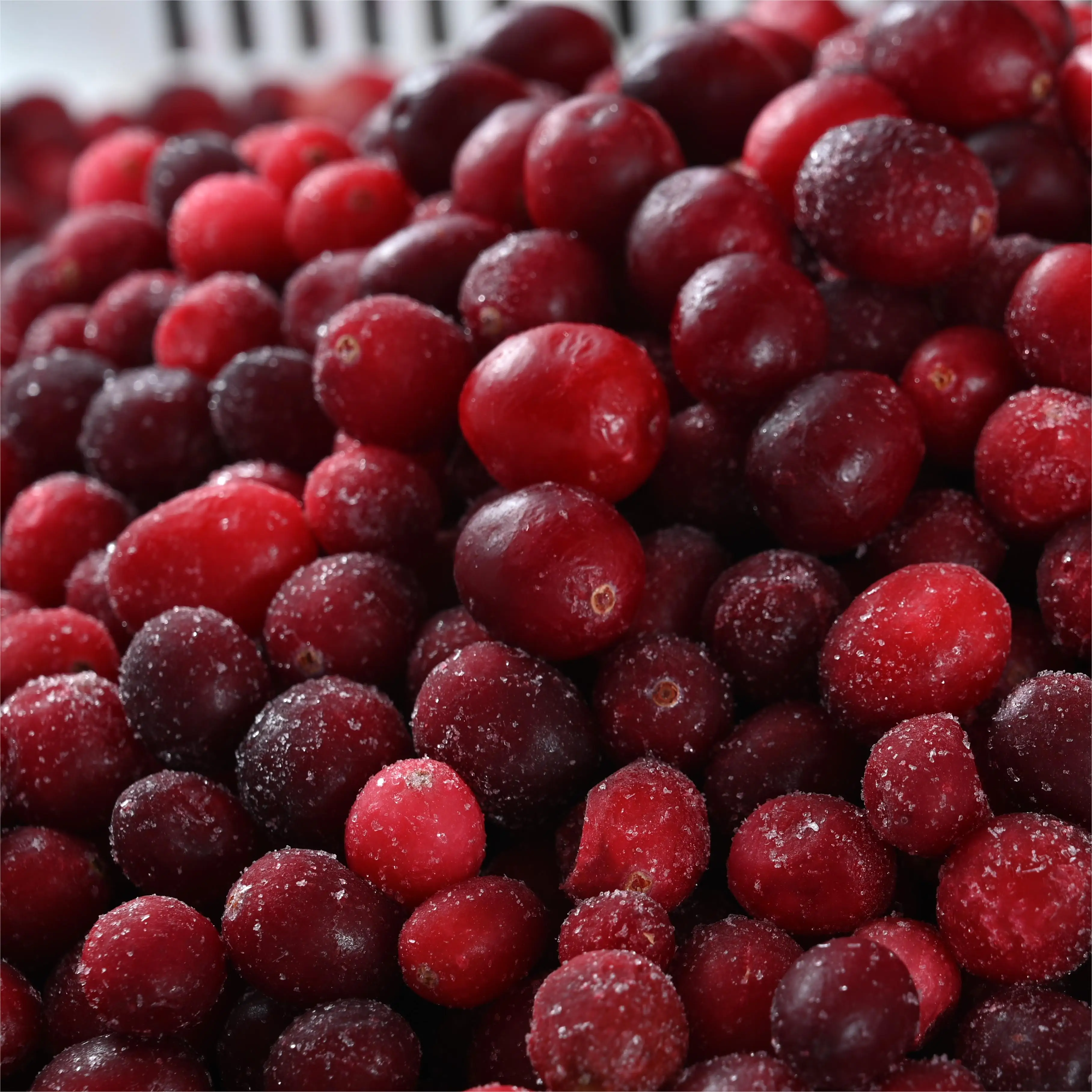 factory direct export frozen cranberry wholesale frozen cranberries