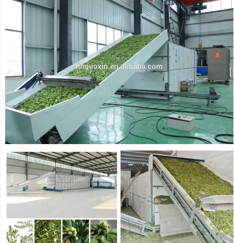
Myrcia dryer used for bay leaves drying bay leaf seeds drying 