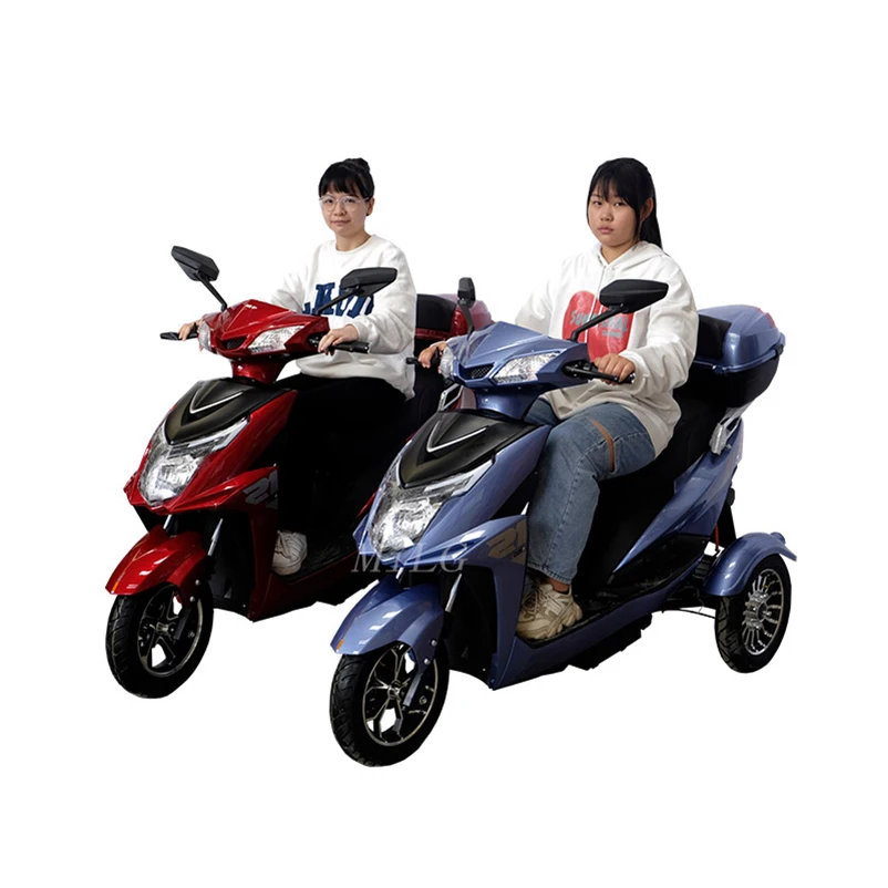 6 Speed Electric Tricycle 3wheels Motorcycle Cargo 3wheel Handicapped Motorized Ebike