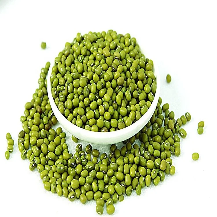 
good quality hot sale green mung bean 
