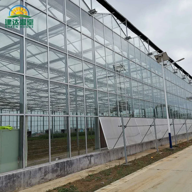 multi-span class Greenhouse restaurant green house frame with Heating and insulation system