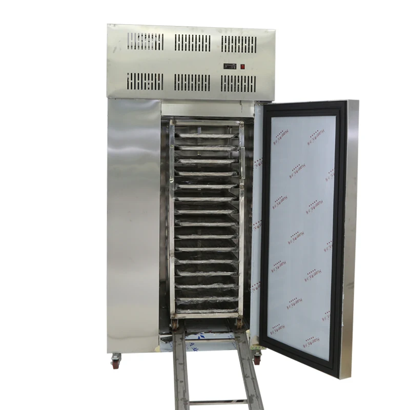 Морозильная камера со вспышкой, туннельный стоячий охладитель/Морозильный шкаф