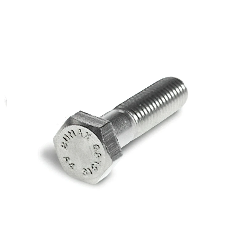 Din Standard Stainless Steel Hex Bolt Plain Finish Carriage Bolts Stud Flange Bolt