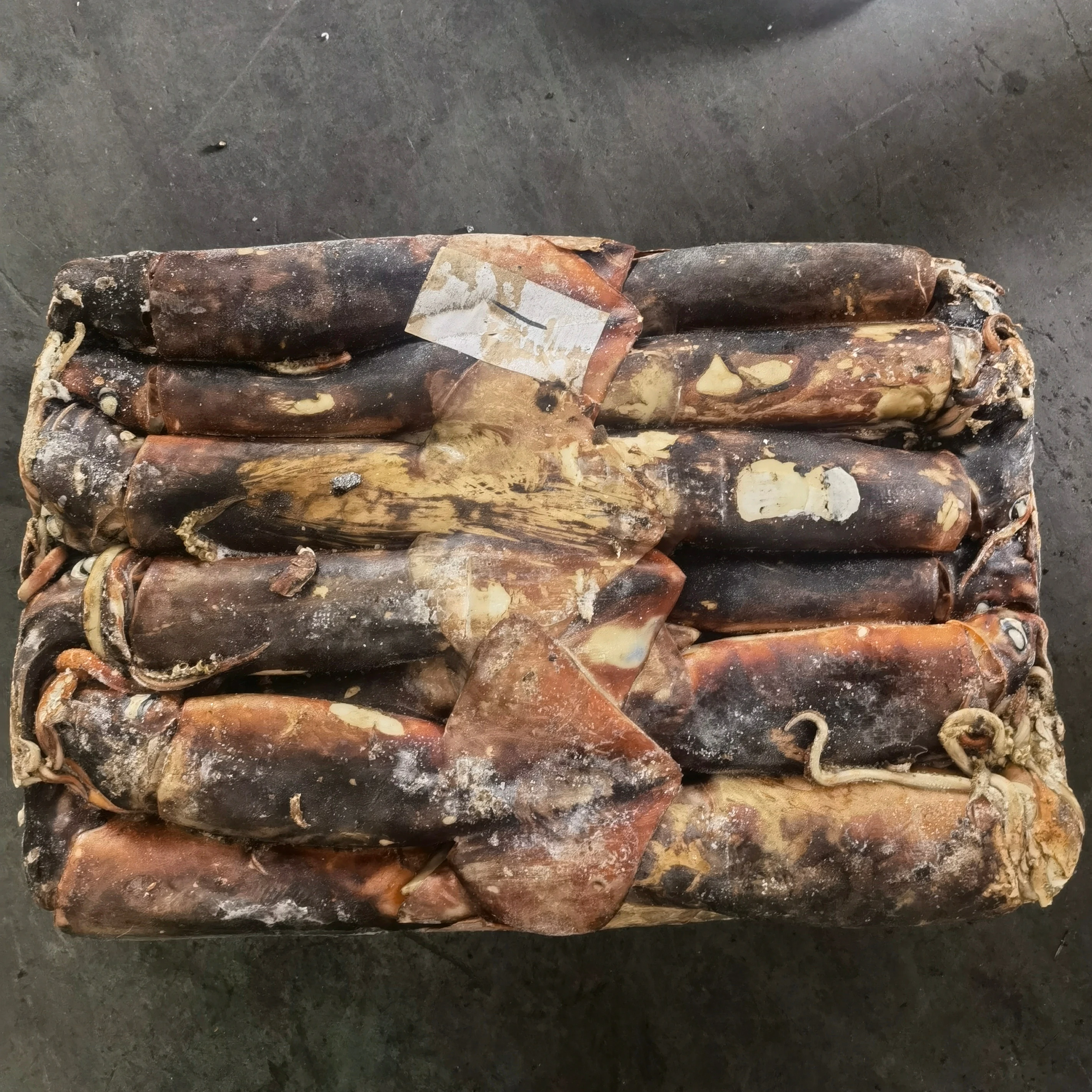 Ready Stock Good Quality Frozen Giant Squid for Vietnam Market