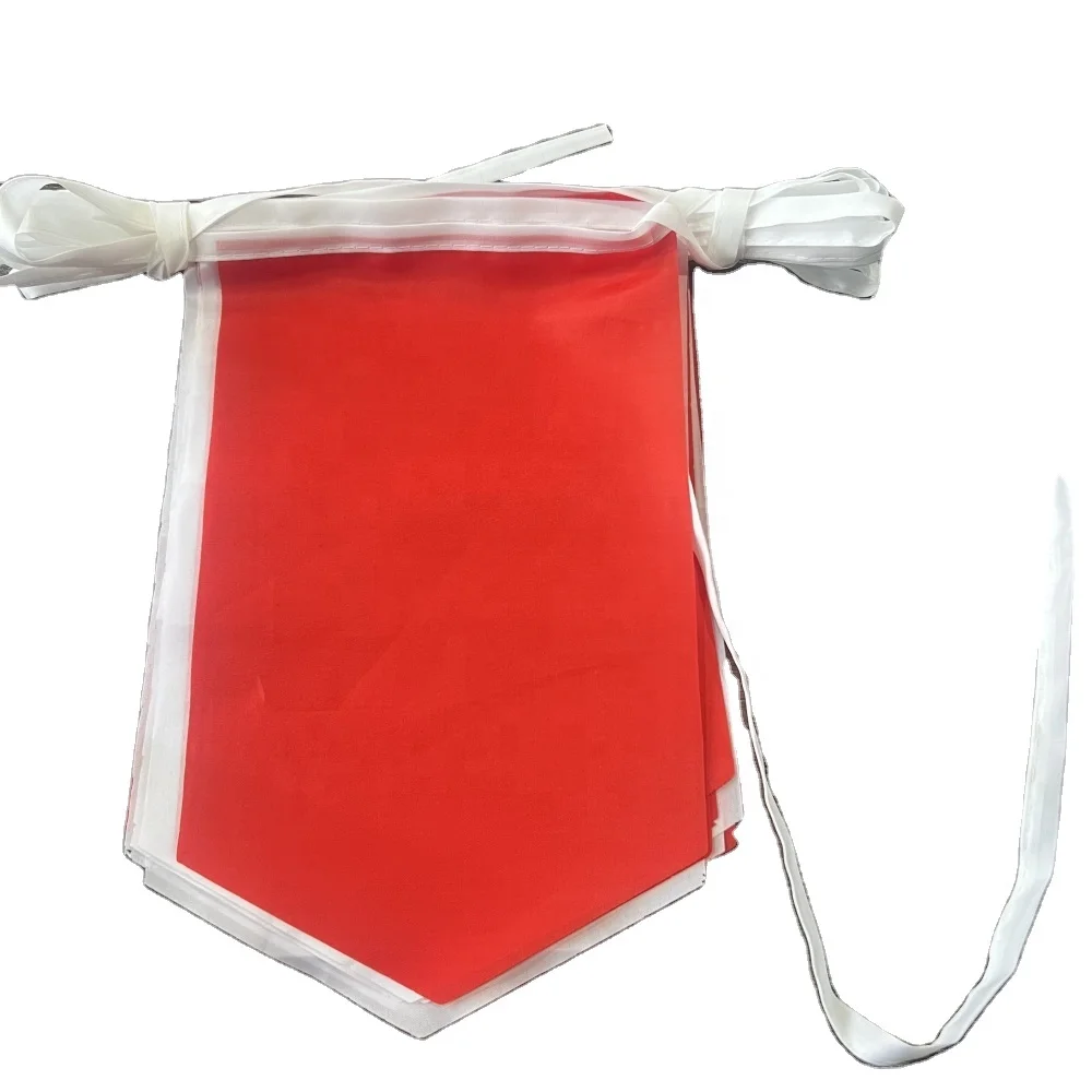 Aozhan Wholesale Customized 14x21cm 20x30cm Swallow-tail String Bunting Flags High Quality Printed Shapes in Various Countries