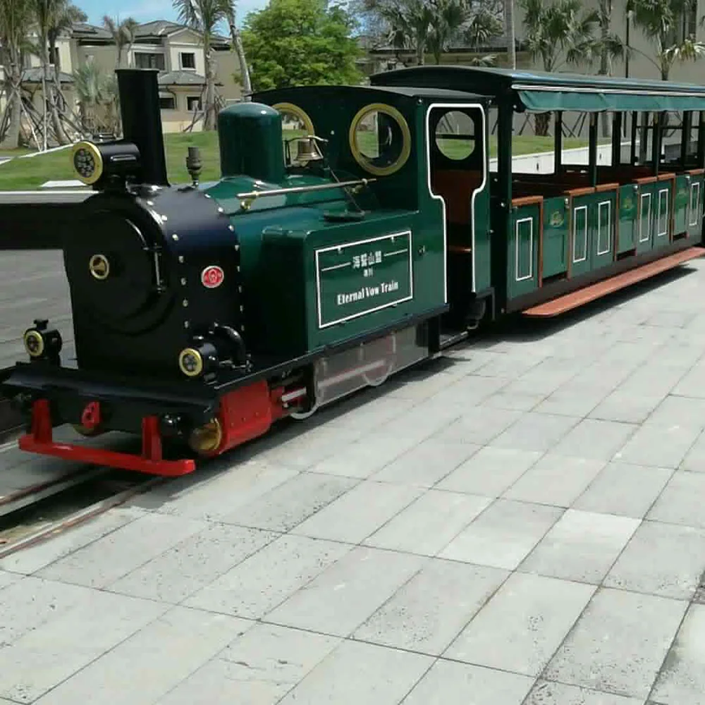
Children Adult Outdoor Sightseeing Entertainment Amusement Park Diesel Storage Battery Electric Rail Track Train Rides 