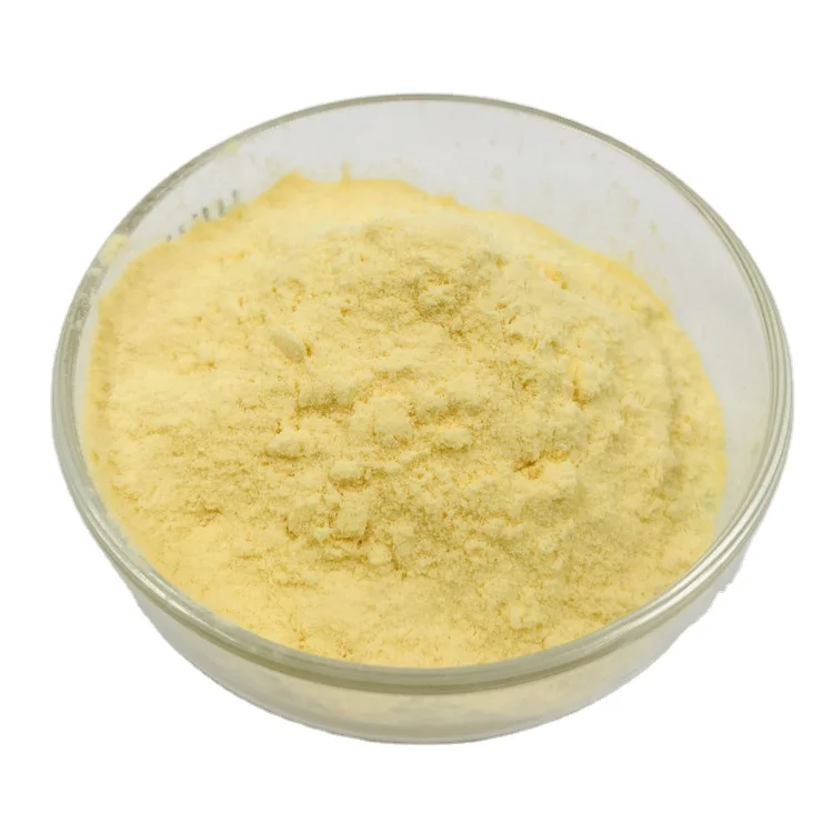 Factory supply pure natural organic Watermelon seed extract Watermelon seed protein Powder