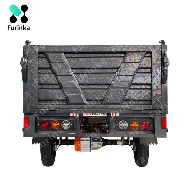 1200w Two Seats Motorized Pedal Petrol Cheap Electricycle Adult Passenger Vehicles Three Wheel Cargo Tricycle