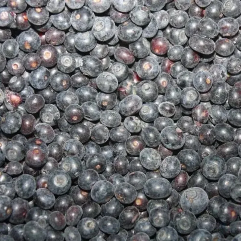 2024 New Crop IQF Frozen Blueberries Frozen Blueberry Whole Frozen Fruits