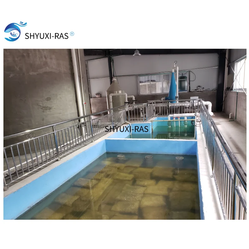 Оборудование для рыбоводства для помещений ras, для продажи, большая промышленная рециркуляция рыбы, Ферма для аквакультуры, система ras