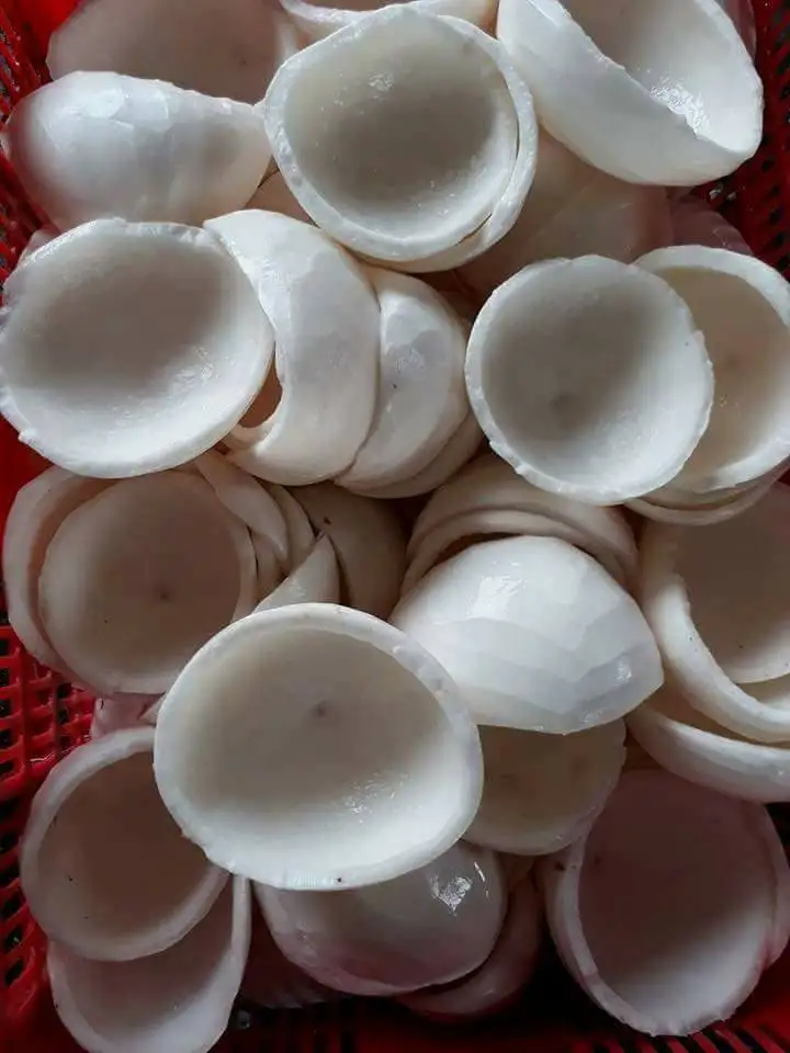 Замороженное кокосовое мясо для экспорта вьетнамской молодой кокосовой целлюлозы по конкурентоспособной цене-WHATSAPP 0084 989 322607