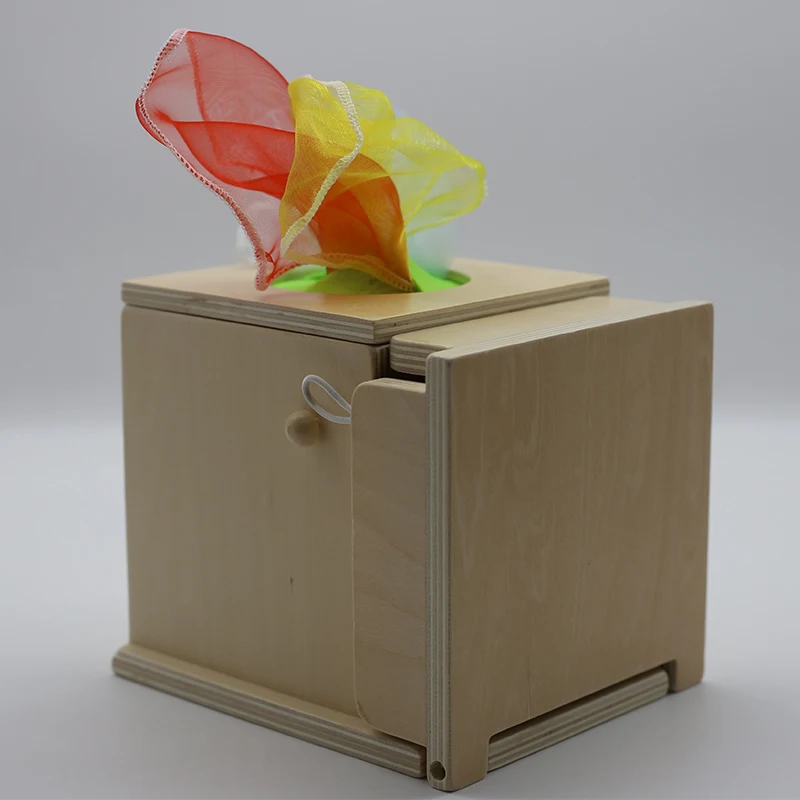 Carrot Harvest Object Permanence Coin Tissue Box Wooden Toy Baby 4 for 1 Montessori Educational Toy Fine Motor Skills