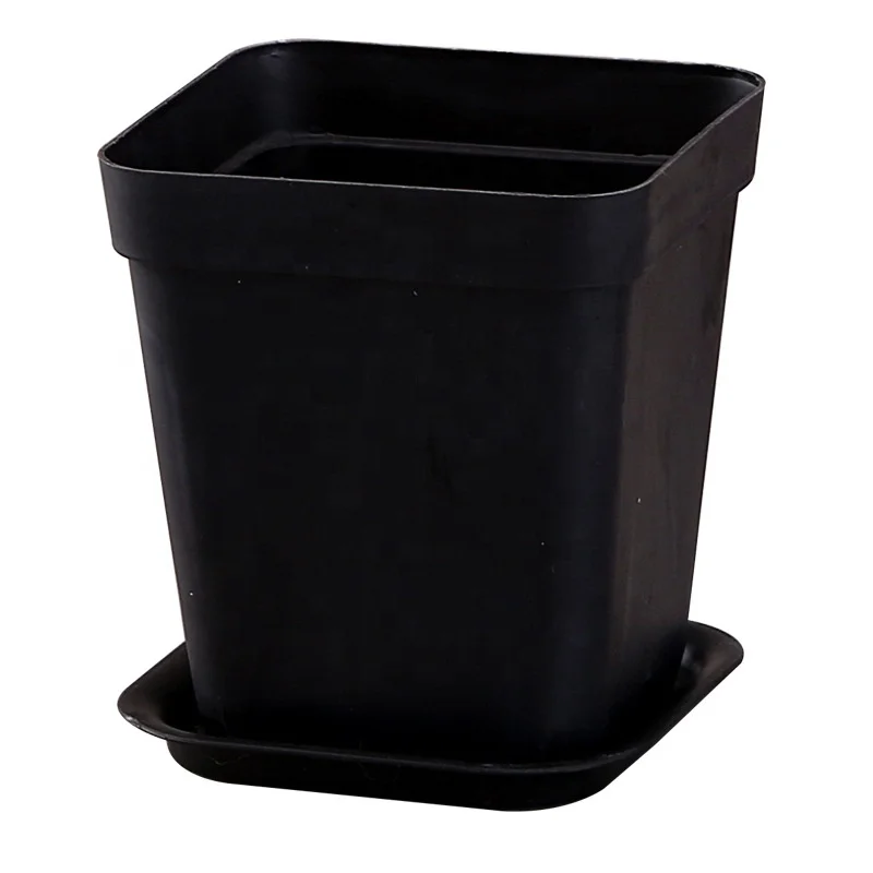 Square mini color small square pot succulent small black square plant flower seedling pot plastic pot wholesale