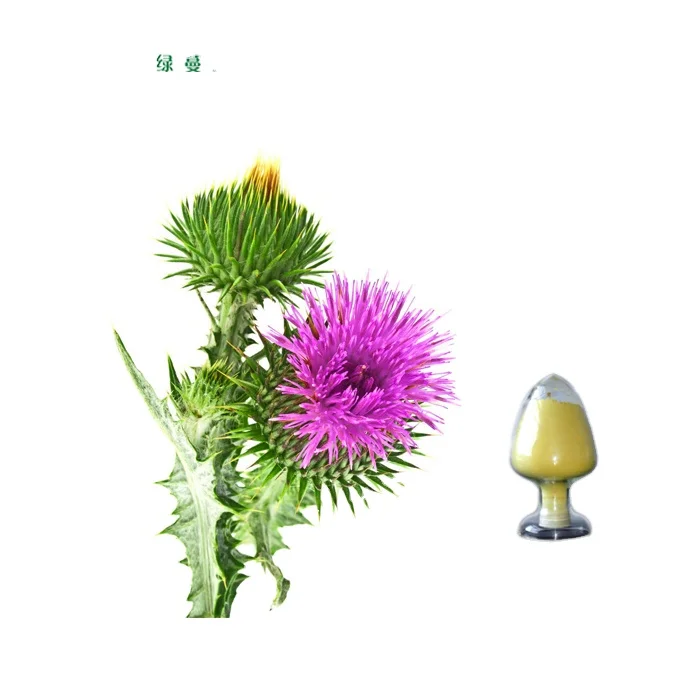Water Soluble Milk Thistle Seed Extract Silymarin Powder 10%20%40%