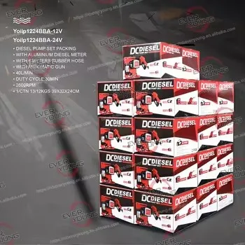 Portable 12V Diesel Dispenser Pump Kit Stainless Wall Mount Fuel Pump with CE Certification Electric OEM Customizable