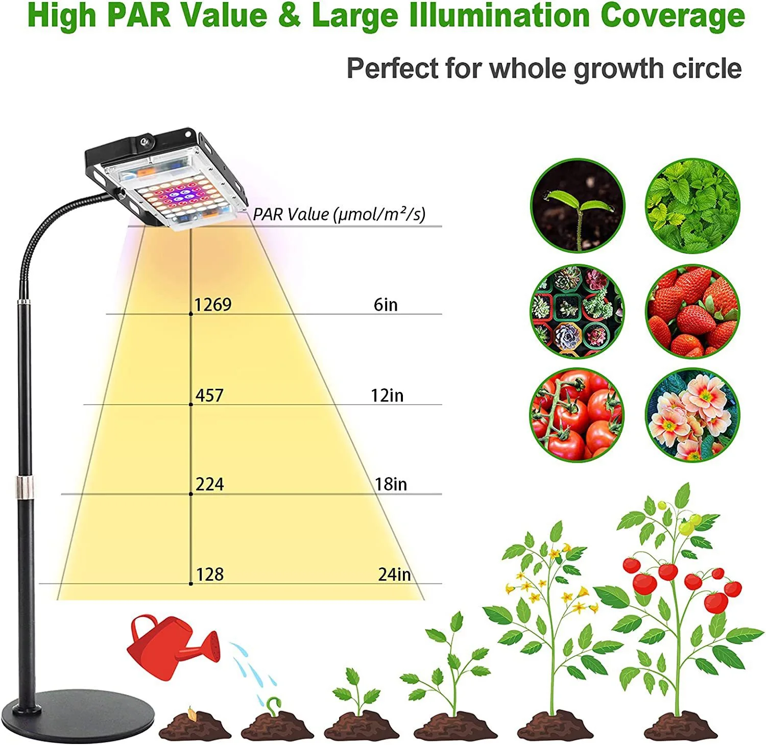 Dimmable W Timer LED Floor Desktop Full Spectrum Grow Light For Indoor Phyto Plant Seedling Flower Fruits Succulent Hydroponic