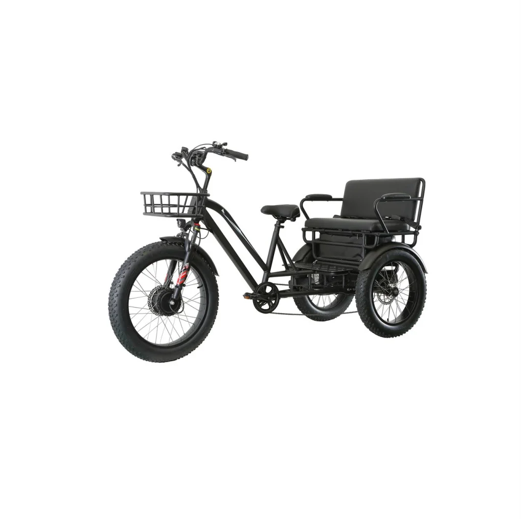20 Inch Tricicle Electric Trike 750W Motor Fat Tire 3 Wheel E Bike Tricycle