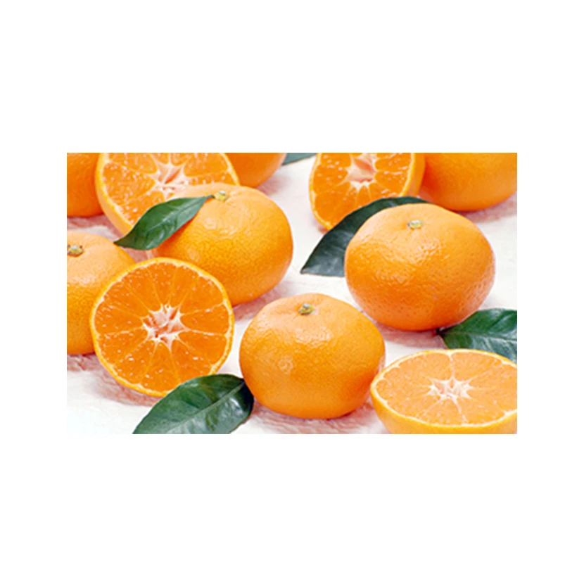 Japanese wholesale bulk wholesale price orange with good quality