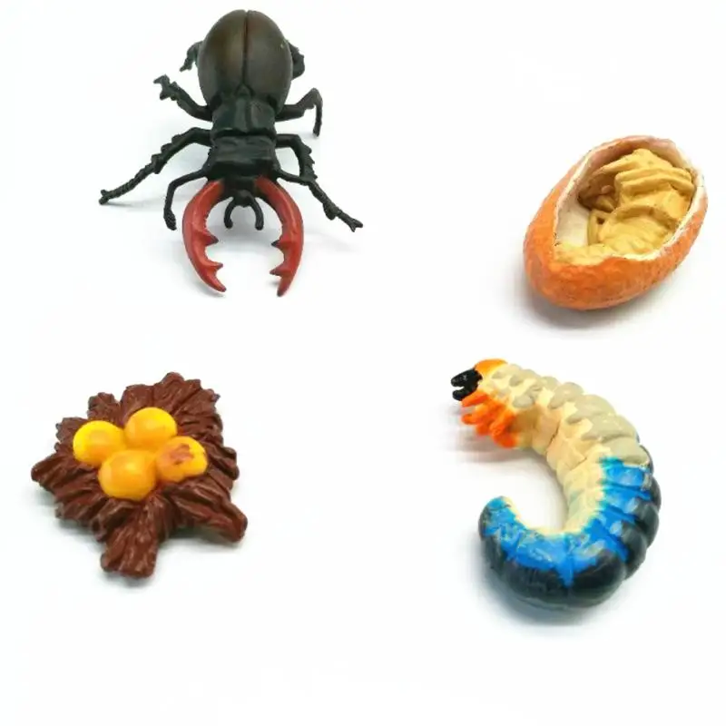Baby Early Education Montessori Animals Toys SetS For Kids Animal Models With Cards