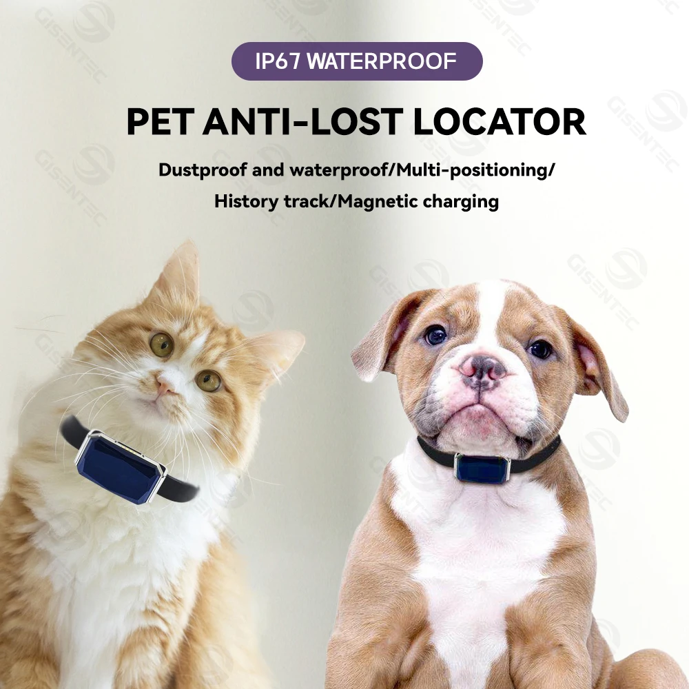 2024 New Model G12 Wholesale WIFI APP GPS Pet Collar Locator with ACC Detection Navigation Tracking for Pet Dog Cat