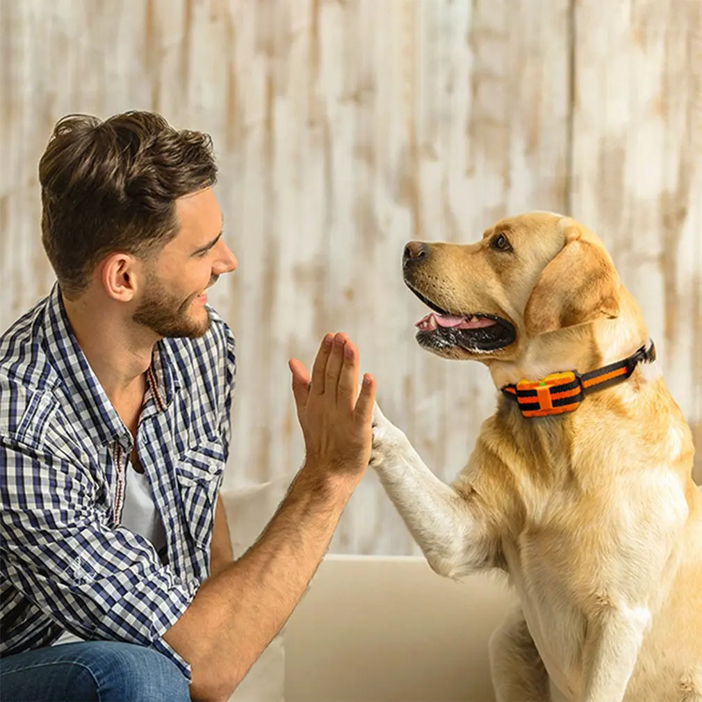 Hot Sale High Quality  Barking Stopper dog training collar with remote control Pet Products Ultrasonic Automatic Dog Trainer