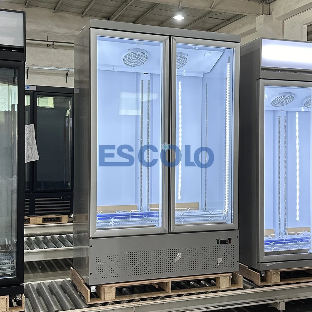 Premium Commercial Refrigeration Double Door Freezer Showcase for Restaurants Cafes and Supermarkets