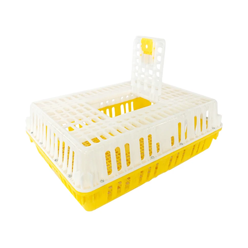 Farm Use Equipment Chicken Transport Cage Chick Turnover Box Poultry Plastic Transport Crate for Duck Pigeon