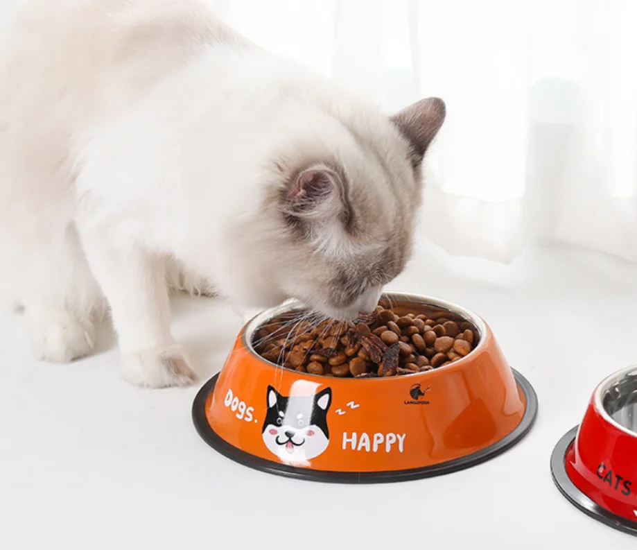 Pet feeder training bowl stainless steel dog bowl custom cat cartoon bowl