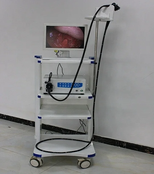 
OJH All-in-one Machine With High Performance Vet Endoscope For Big Animals 