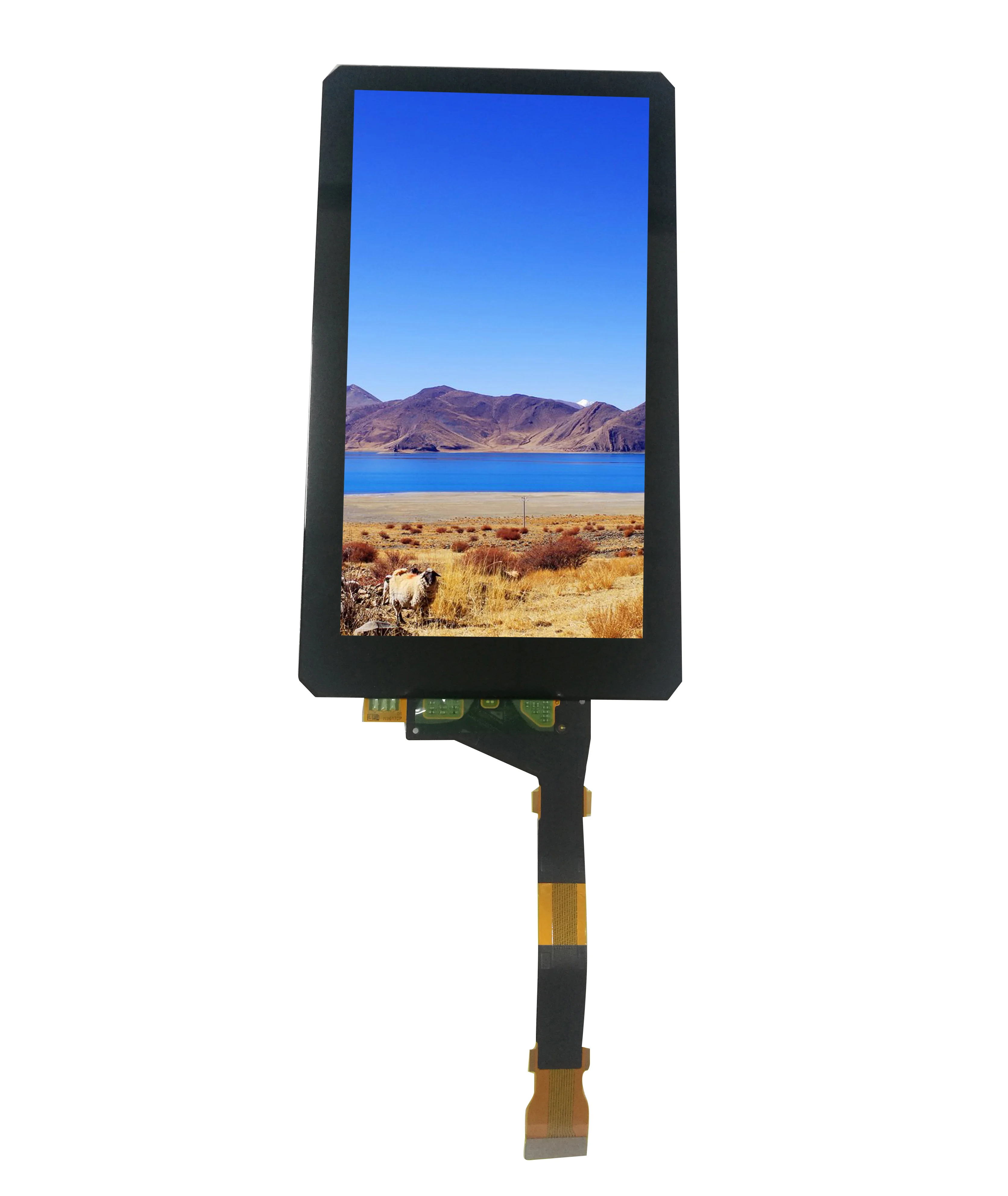 sharp 5.5 inch 1440*2560 2K LCD panel h-dmi to mipi display LS055R1SX04 with H-DMI to MIPI driver board for 3D printer