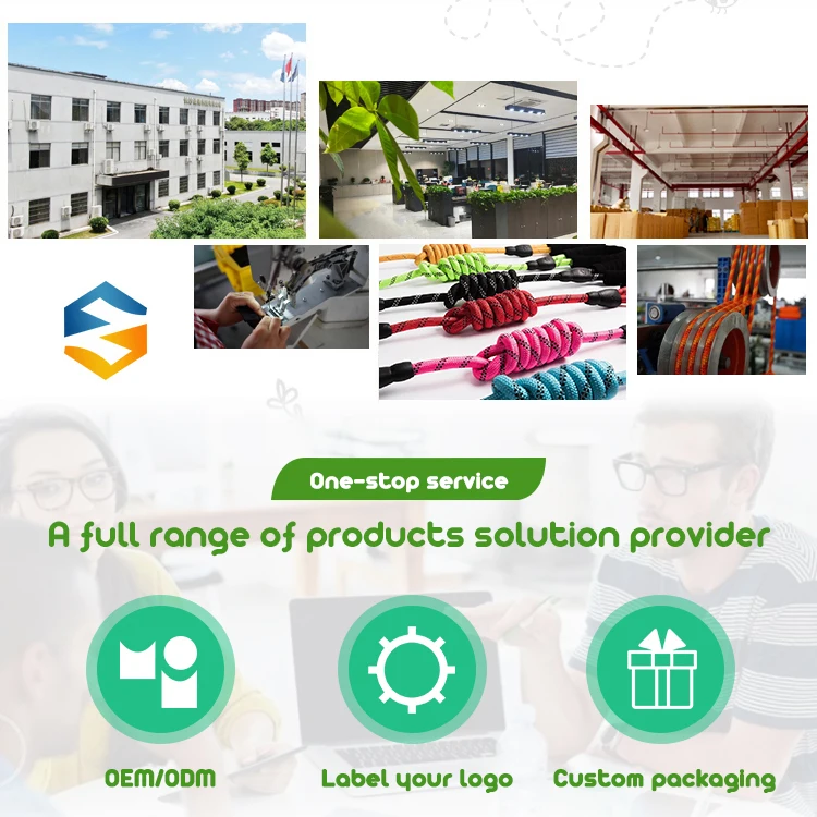 
5ft 4ft Dog Rope Leash Original Equipment Manufacturer With Certificate 