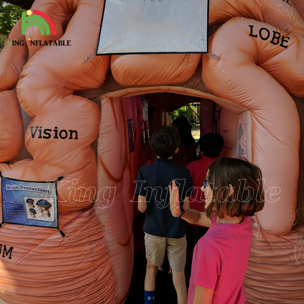 Medical Inflatables Brain Exhibit Human Organs Educational Models