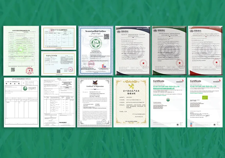 Free Design Private Label Preworkout gummy chews bear Supplement Creatine Monohydrate Preworkout Gummies for men and women