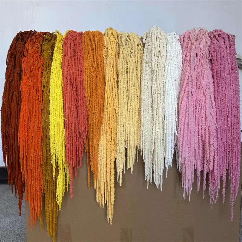 Wedding Party Decor Arrangement DIY Bleached Amaranthus Hanging Preserved Flowers Natural Artificial Preserved Amaranthus Flower