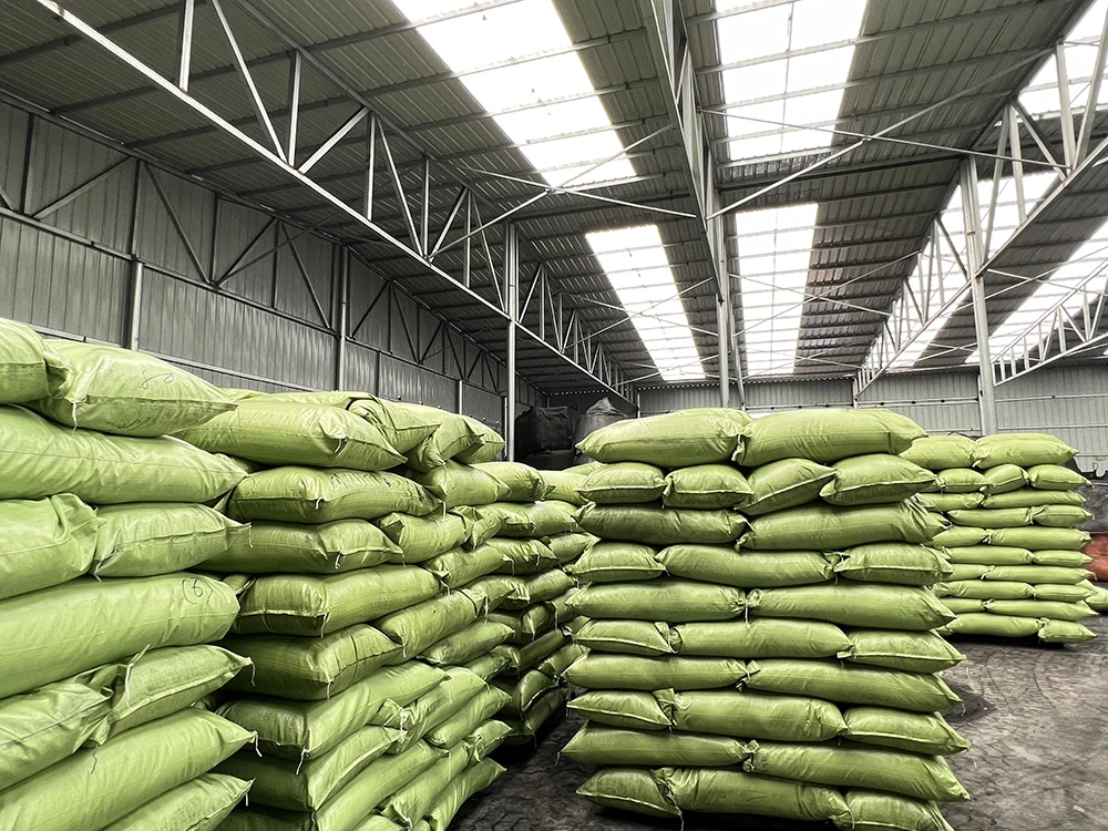 8-20 Mesh Water Filter Outdoor Active Coconut Shell Granular Anthracite Coal Based Activated Carbon