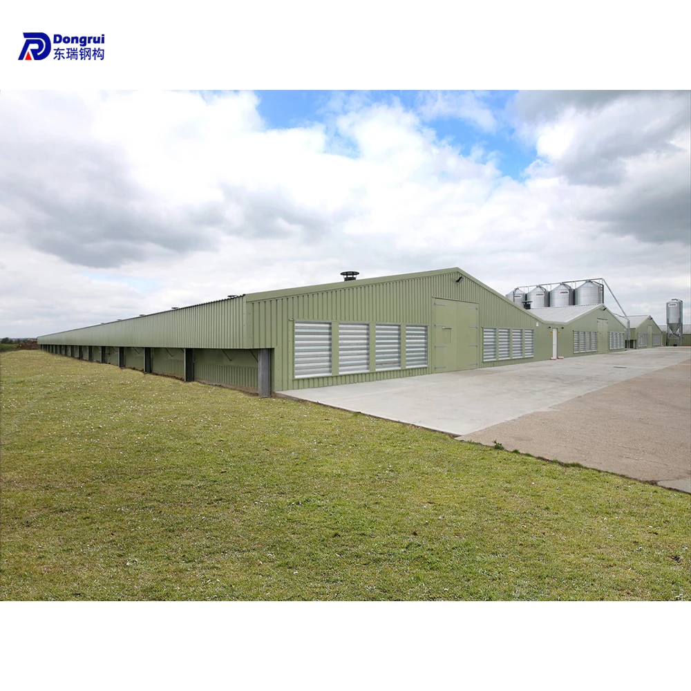 prefab modern houses of chicken poultry house construction