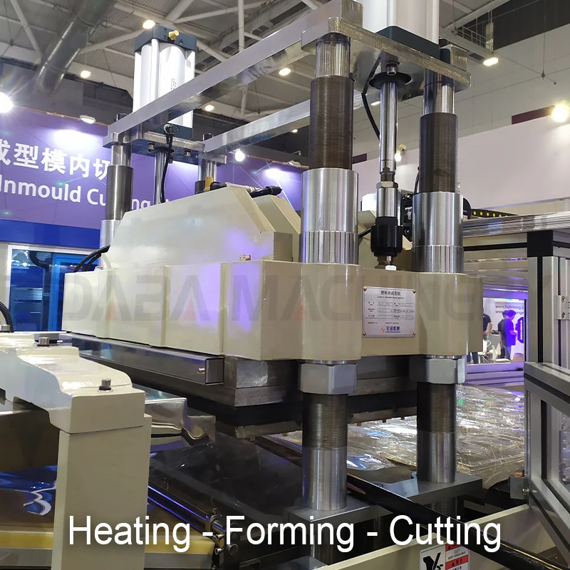 DB-63/78 pvc box transparent thermo forming machine making food container for biodegradable