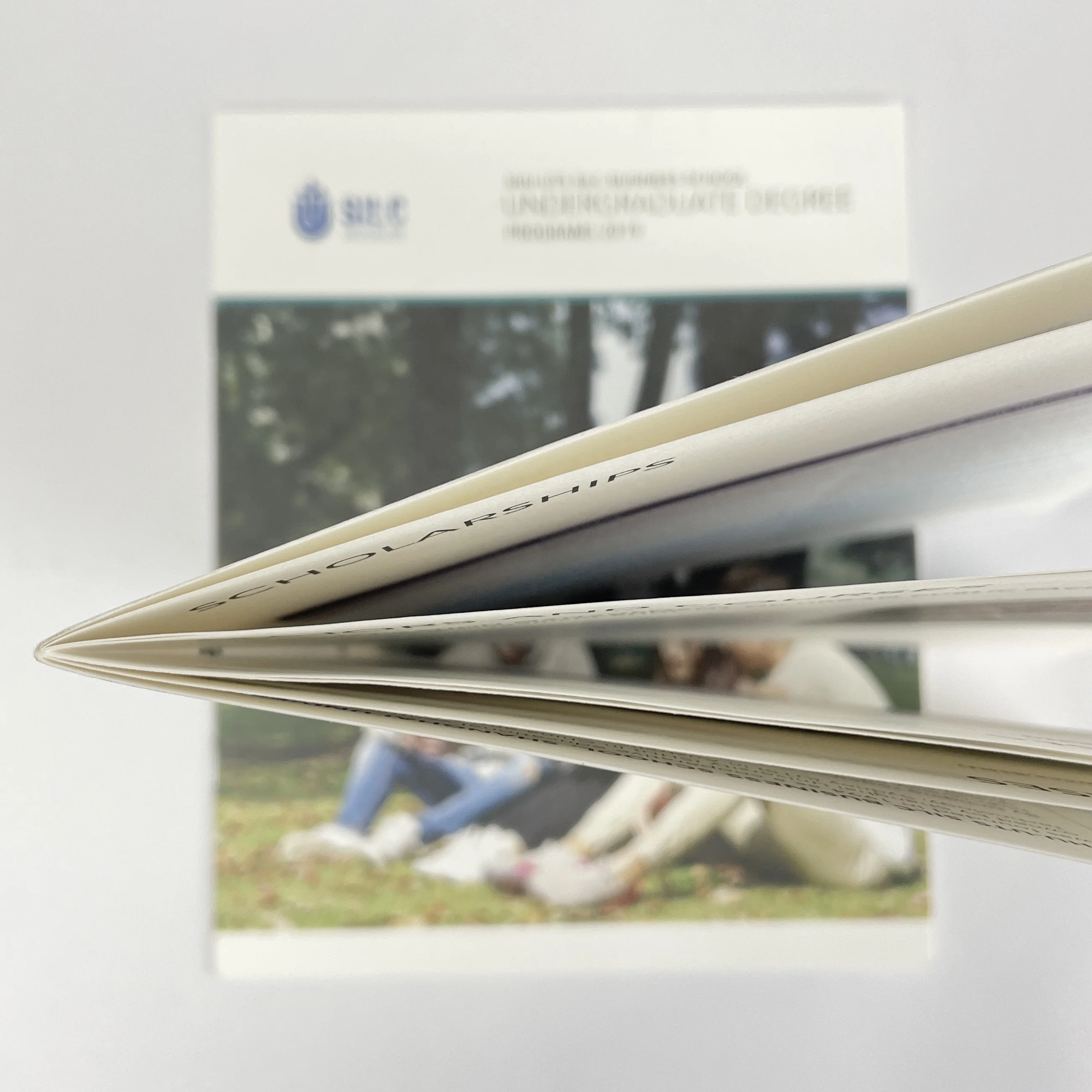 Custom size 180*220mm school programs introduction color printed in white art paper
