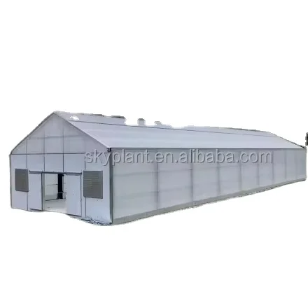 Skyplant  Hemp Greenhouse China manufacturer tunnel greenhouse with blackout system for sale